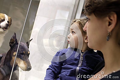 Family looking at dogs Editorial Stock Photo