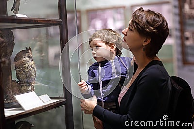 Family looking at owl Editorial Stock Photo