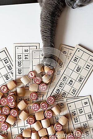 Family Lotto board game. Cards and barrels with numbers Stock Photo