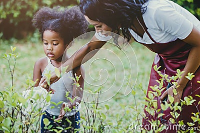 Family lovely gardening watering green plant activity with children during Stay at Home to reduce the outbreak of the Coronavirus Stock Photo