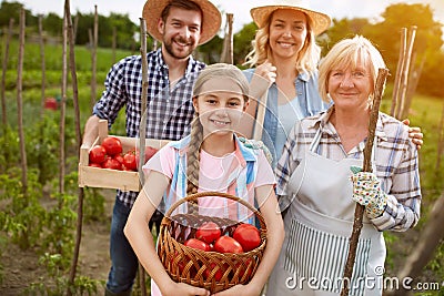 Family with organically produced tomatoes Stock Photo