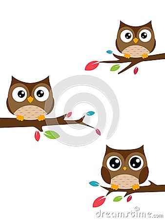 Family of owls sat on a tree branch Vector Illustration