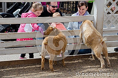 Family at a petting zoo Editorial Stock Photo