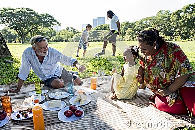 Family Picnic Outdoors Togetherness Relaxation Concept Stock Photo