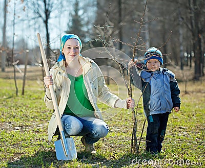 Family planting tree Stock Photo