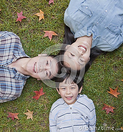 Family portrait on the grass, directly above Stock Photo