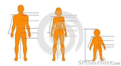 Family set of human bodies with pointers and indicators for medical, sport and fashion infographics. Vector isolated template with Vector Illustration