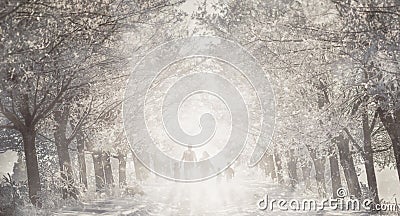 Family silhouette on the road in tree alley, winter background Stock Photo