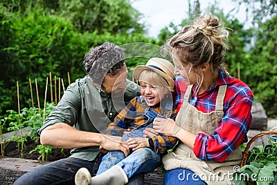 Family with small child gardening on farm, growing organic vegetables. Stock Photo
