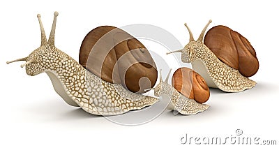 Family Snails (clipping path included) Stock Photo