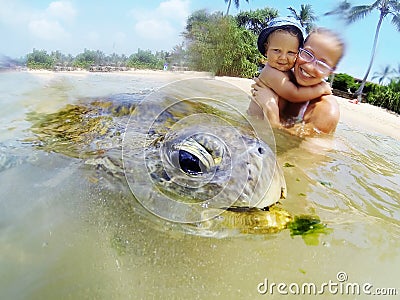 Family snorkeling with turtle Stock Photo