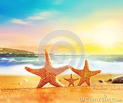 Family starfish on yellow sand near the sea Stock Photo