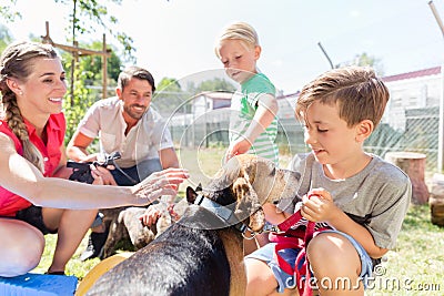 Family taking home a dog from the animal shelter Stock Photo