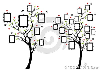 Family tree with photo frames, vector Vector Illustration