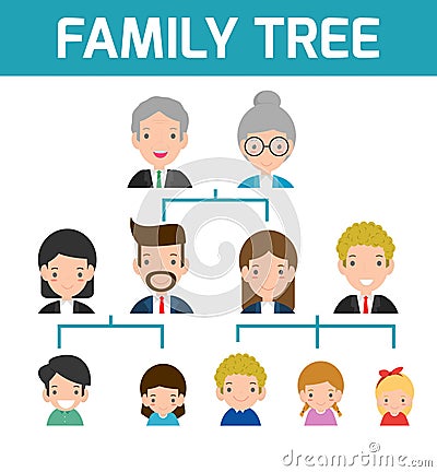 Family Tree, diagram of members on a genealogical tree, isolated on white background, Cartoon vector illustration of family tree Vector Illustration