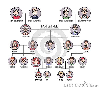 Family tree, pedigree or ancestry chart template. Cute men`s and women`s portraits in circular frames connected by lines Vector Illustration