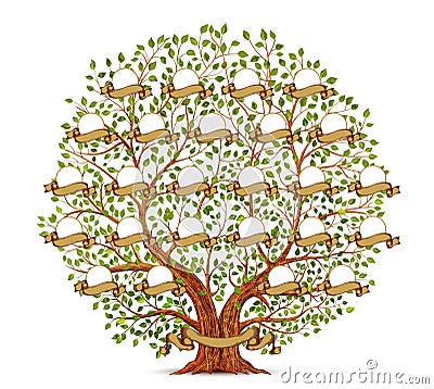 Family Tree template vintage vector illustration Vector Illustration