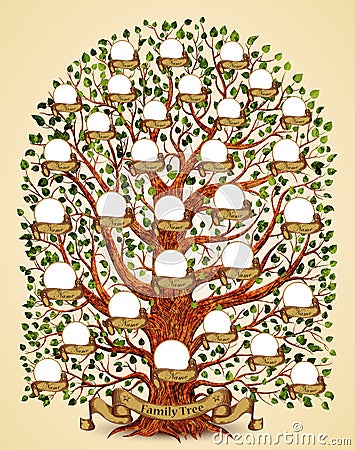 Family Tree template vintage vector Vector Illustration