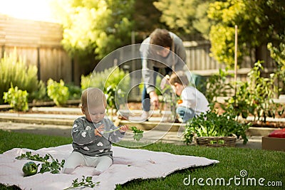 Family in the vegetable garden - children sustainable living concept Stock Photo