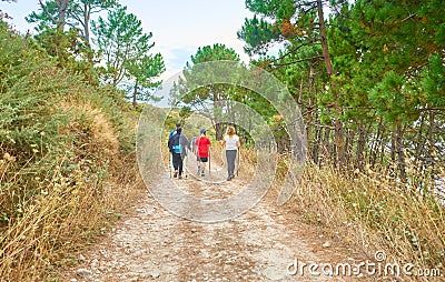 Family walking with backpacks and walking sticks along a path in the field full of trees Editorial Stock Photo
