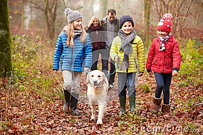 Family Walking Dog Through Winter Woodland Stock Photo