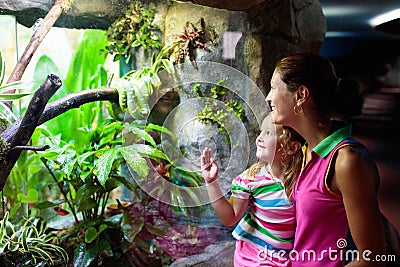 Family watching snake in zoo terrarium Stock Photo