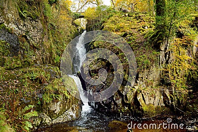 Famous Aira Force waterfall on Aira Beck stream, located in the Lake District, Cumbria, UK Stock Photo