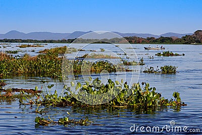 The famous Amazon River is the deepest in the world. The amazing nature of Brazil. Calm blue water, traditional Indian villages al Editorial Stock Photo