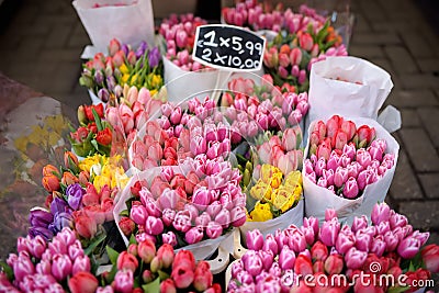 The famous Amsterdam flower market Bloemenmarkt. Multicolor tulips. The Symbol Of The Netherlands Stock Photo