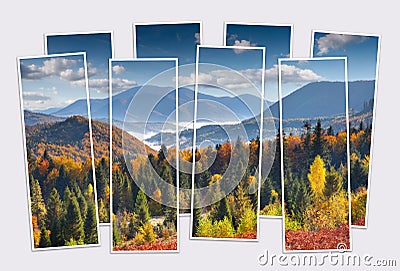 Isolated eight frames collage of picture of colorful autumn scene of Carpathian mountains. Stock Photo