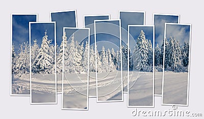 Isolated ten frames collage of picture of picturesque winter scene mountain forest. Stock Photo