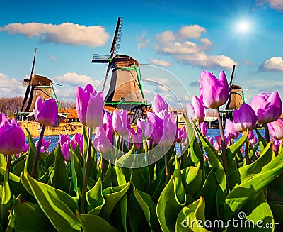 The famous Dutch windmills Stock Photo