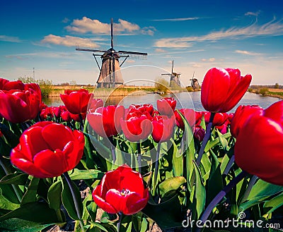 The famous Dutch windmills. Stock Photo