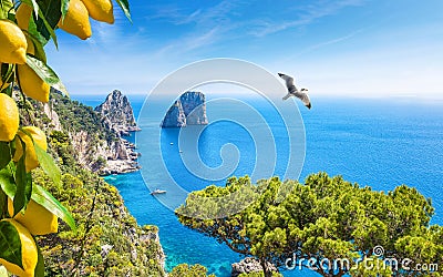 Famous Faraglioni Rocks, Capri Island, Italy Stock Photo
