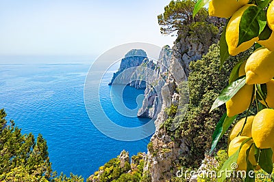 Famous Faraglioni Rocks, Capri Island, Italy. Beautiful paradise landscape with azure sea in sunny day with ripe yellow lemons in Stock Photo