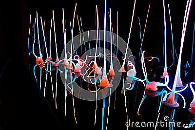 Chihuly Glass Neon Reeds on Black Background Editorial Stock Photo