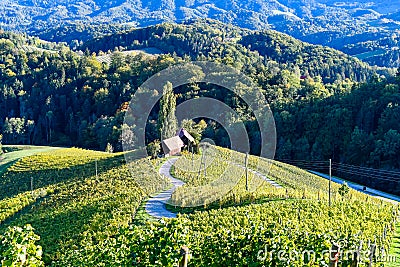 Famous Heart shaped wine road in Slovenia, vineyard near Maribor Stock Photo
