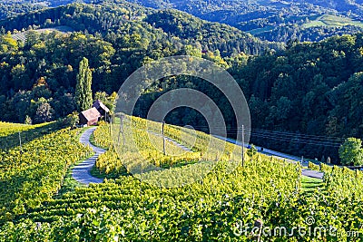 Famous Heart shaped wine road in Slovenia, vineyard near Maribor Stock Photo