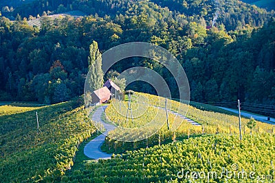 Famous Heart shaped wine road in Slovenia, vineyard near Maribor Stock Photo