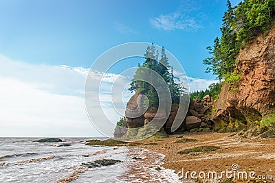 Famous Hopewell Rocks flowerpot formations at low tide Stock Photo