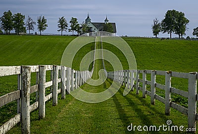 The famous horse country grass lands at Manchester horse farm in lexington kentucky Stock Photo