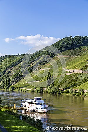 Famous Moselle Sinuosity in Trittenheim with cruise ship Stock Photo