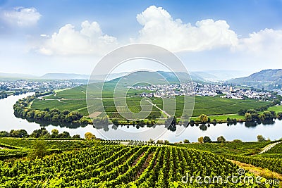 Famous Moselle Sinuosity with vineyards Stock Photo