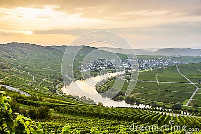 Famous Moselle Sinuosity with vineyards Stock Photo