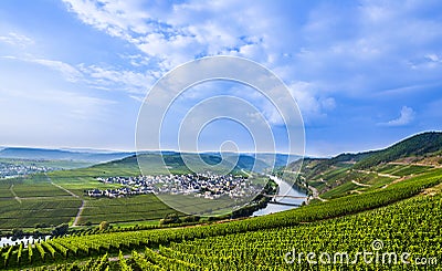 Famous Moselle Sinuosity with vineyards Stock Photo