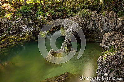 Famous rock feature called Elephant (sloncek) in Mostnica Gorge, Bohinj, Triglav National Park, Slovenia. Stock Photo