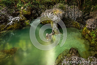 Famous rock feature called Elephant (sloncek) in Mostnica Gorge, Bohinj, Triglav National Park, Slovenia. Stock Photo