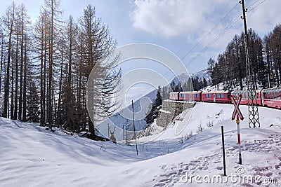The famous Swiss mountain train of Bernina Express crossed italian and swiss Alps Editorial Stock Photo