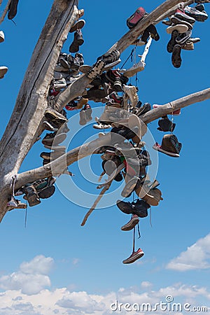 The famous tamarisk shoe tree near Amboy on Route 66 Editorial Stock Photo