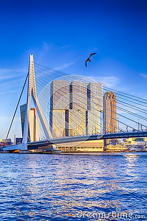 Famous Travel Destinations. Attractive View of Renowned Erasmusbrug Editorial Stock Photo